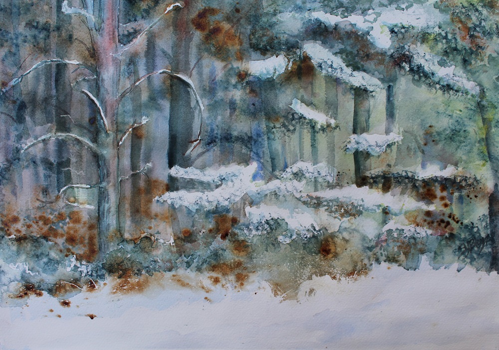 Enchanted Forest